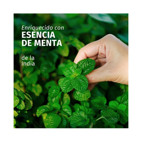 HERBAL ESSENCES Champú purificante con aroma a menta, para todo tipo de cabellos 350 ml.