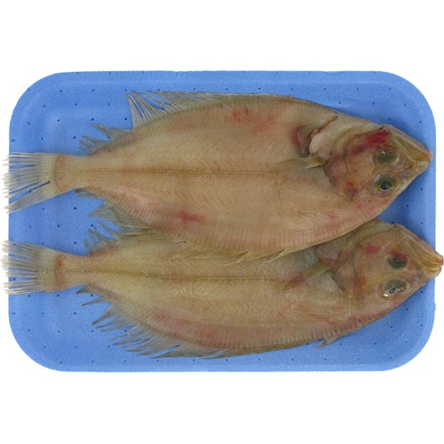 Gallos pequeños