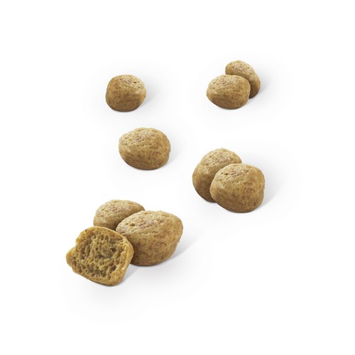 DENTALIFE Snack dental gatos sabor pollo PURINA DENTALIFE 40 g.