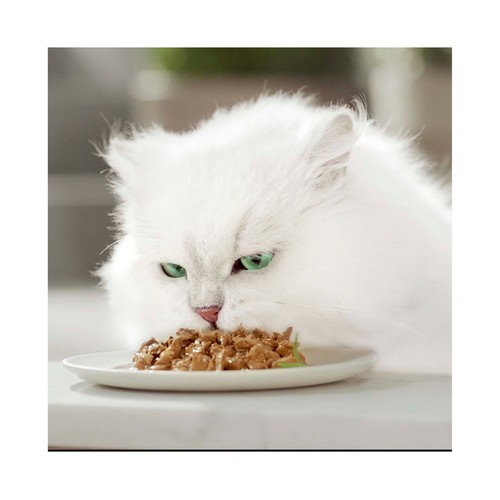 PURINA GOURMET Comida para gatos adultos a base de pato, pollo y pavo 6 uds. 50 g.