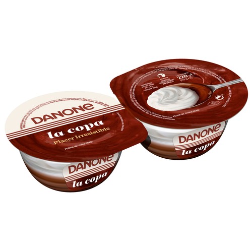 Copa de chocolate y cremosa nata DANONE 2 x 110 g.