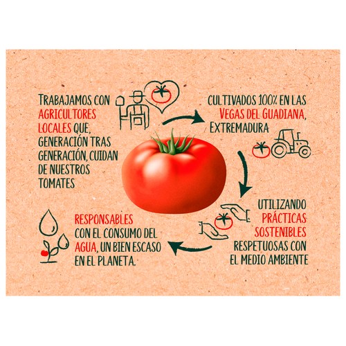 SOLIS Salsa de tomate frito casero 500 g.