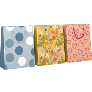 Imagen de Bolsa de regalo tamaño S, 3 modelos surtidos, AUCHAN. 