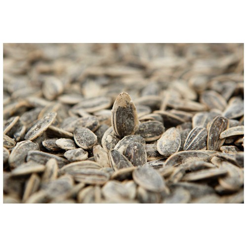 GREFUSA Pipas G con sal 100 gr.