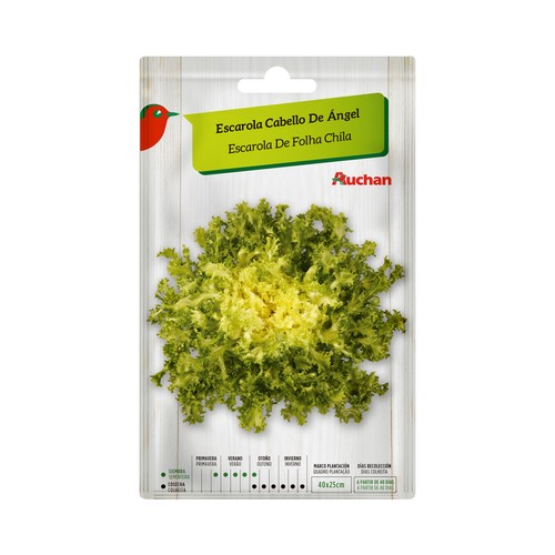 Sobre de semillas para sembrar escarola de la variedad cabello de ángel PRODUCTO ALCAMPO.