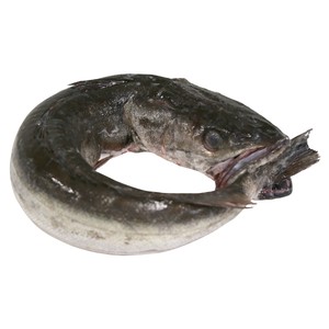 Merluza pincho de Celeiro mostrador.