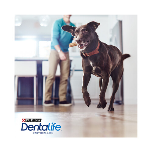 DENTALIFE Snacks dental para perros de raza grande, PURINA DENTALIFE 4 uds. 142 g.