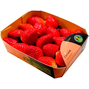 AUCHAN Fresón Candela temprano ALCAMPO CULTIVAMOS LO BUENO 400 g.