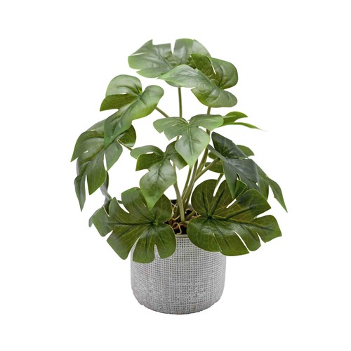 Plantas silvestres en maceta de cemento decoradas y una altura total de 31 cm.