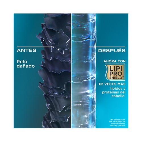 OGX Champú reparador con aceite de Argán de Marruecos, para cabellos secos y dañados 385 ml.