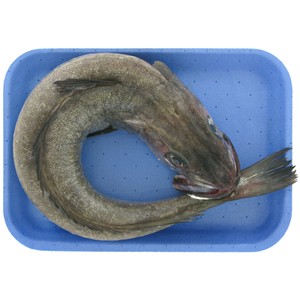Pescadilla (pieza entera)
