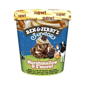 BEN & JERRY"S Sundae Tarrina de helado chocolate con masa de galleta cacao y helado de nata 427 ml.