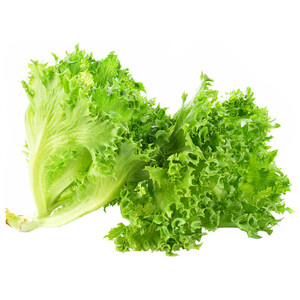 Imagen de Escarola rizada 1 Unidad