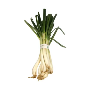 Calçots manojo (cebollas para asar) 12 uds.