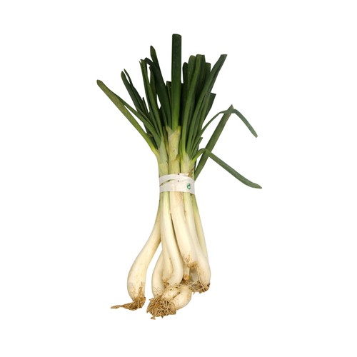 Calçots manojo (cebollas para asar) 12 uds.