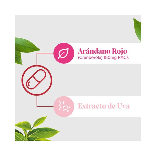 ARKOPHARMA Cis-control Complemento alimenticio a base de arándano rojo y extracto de uva 60 uds.