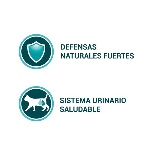 PURINA ONE Comida para gatos adultos a base de salsa de pollo y judías verdes PURINA ONE 4 uds. x 85 g.