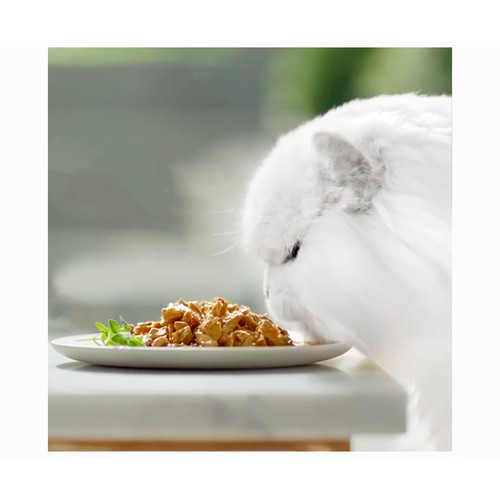 PURINA GOURMET Comida para gatos en gelatina de pato, caza, trucha y pavo 4 uds. 85 g.