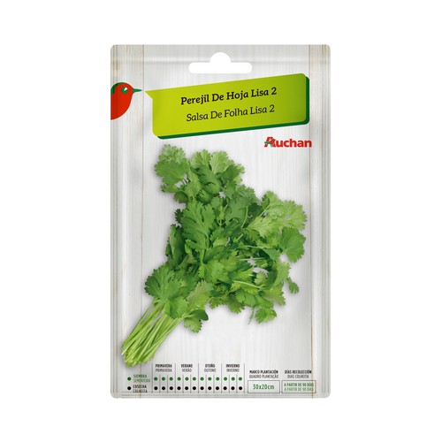 Sobre de semillas para plantar perejil de la variedad hoja lisa 2. AUCHAN