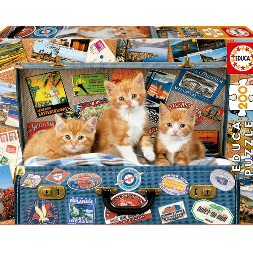 BORRAS Puzzles Junior (100-200-300 Piezas) Surtido +6 años