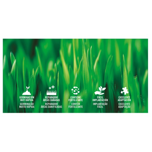 Caja de 1 kilogramo con semillas para plantar cesped para reparar áreas dañadas PRODUCTO ALCAMPO.