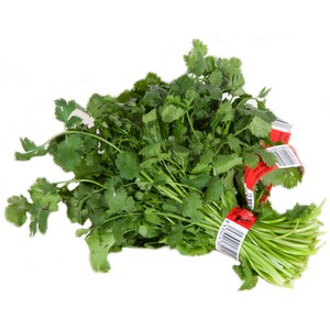 Cilantro manojo