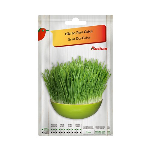 Sobre de semillas para sembrar hierba para gatos PRODUCTO ALCAMPO.
