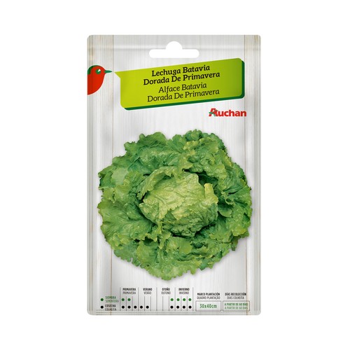 Sobre de semillas para sembrar lechugas de la variedad Batavia dorada de primavera PRODUCTO ALCAMPO.