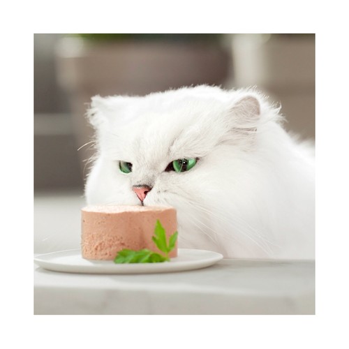 PURINA GOURMET Comida para gatos húmeda a base de mousse de pescado 8 uds. de 85 gr.