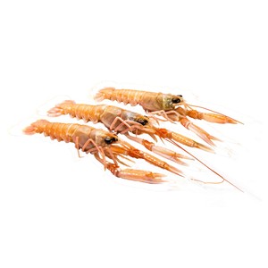 Imagen de Cigalas troncos, calibre 7-10.