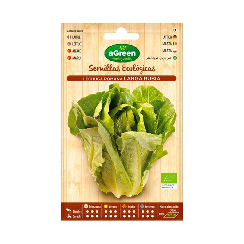 Semillas para sembrar lechugas de la variedad romana larga rubia HA-HUERTO Y JARDÍN 0.4 gramos.