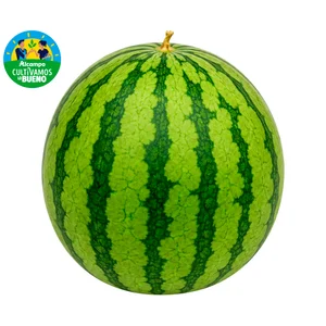 ALCAMPO CULTIVAMOS LO BUENO Sandía mini, pieza.