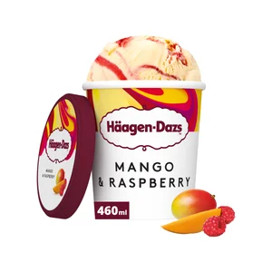 HÄAGEN-DAZS Tarrina de helado de mango con salsa de frambuesa 460 ml.