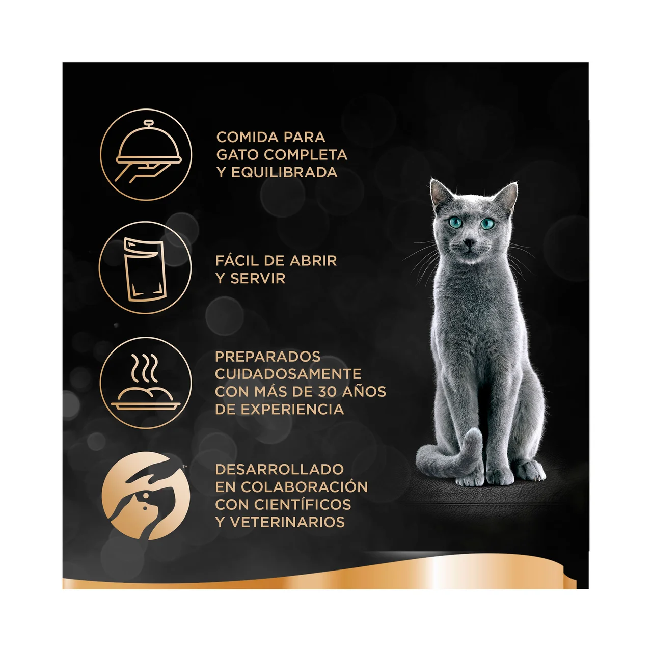 Comida para gatos gelatina selección pescados 12 uds. x 100 g.