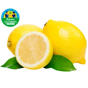 ALCAMPO CULTIVAMOS LO BUENO Limón, malla 1 kg.