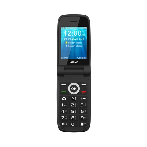 Teléfono QILIVE Flip 600198026, 2,8", 4G