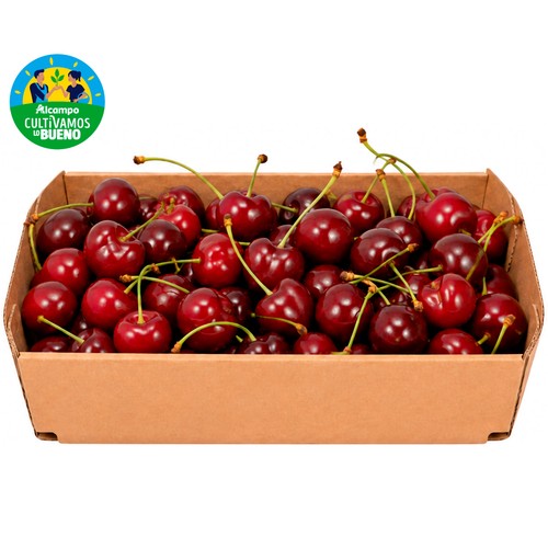 Cerezas ALCAMPO PRODUCCIÓN CONTROLADA Bandeja de 500 g.