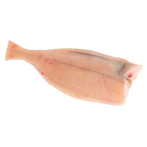 Gallitos mostrador 