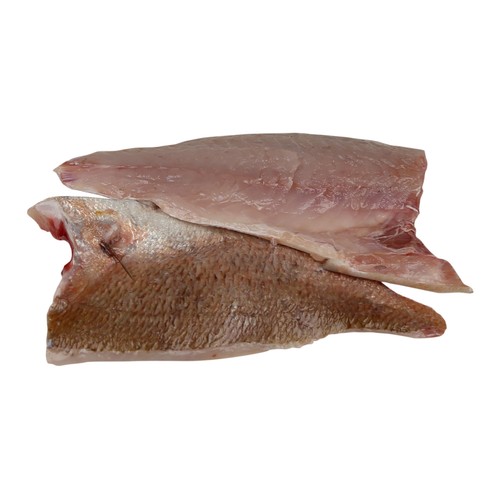 Pargo de cría mostrador - Filetes