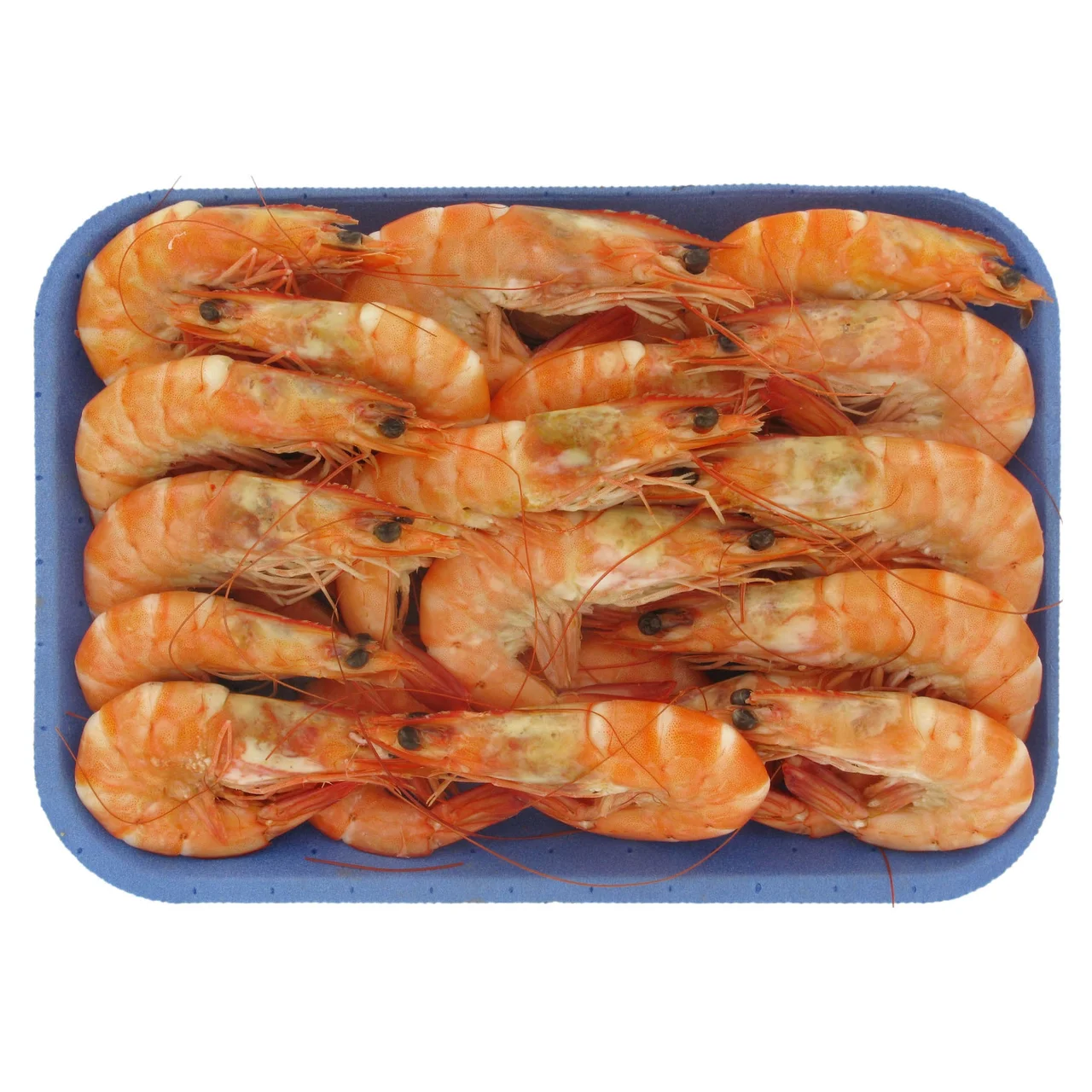 Langostino cocidos calibre 30-40