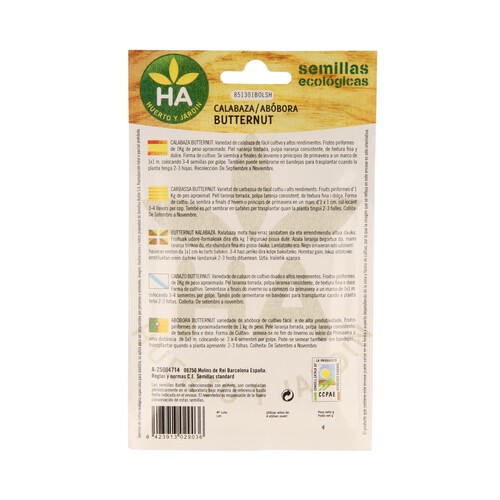 Semillas ecológicas para sembrar calabaza de la variedad Butternut HA-HUERTO Y JARDÍN 4 gramos.