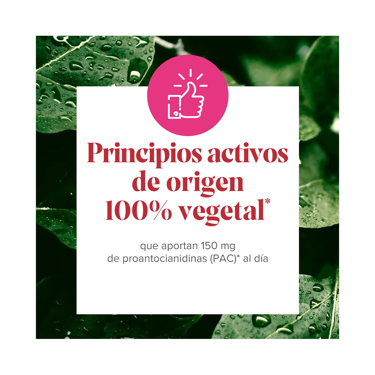 Cis-control Complemento alimenticio a base de arándano rojo y extracto de uva 60 uds.
