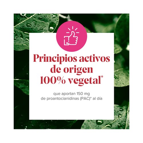 ARKOPHARMA Cis-control Complemento alimenticio a base de arándano rojo y extracto de uva 60 uds.