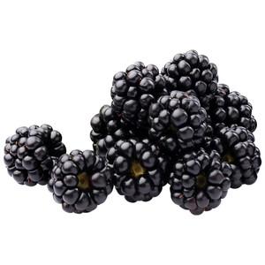 Moras, Tarrina de 125 G.