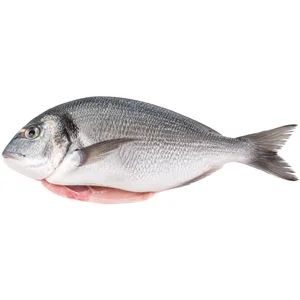 Dorada eviscerada, bandeja al peso.