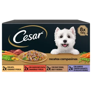 CESAR Comida para perro adulto, surtido 8 unidades de 150 gr.