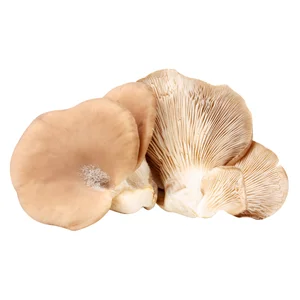 Setas barqueta 400 g.