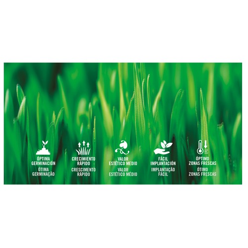 Caja de 1 kilogramo con semillas para plantar cesped para uso deportivo PRODUCTO ALCAMPO.