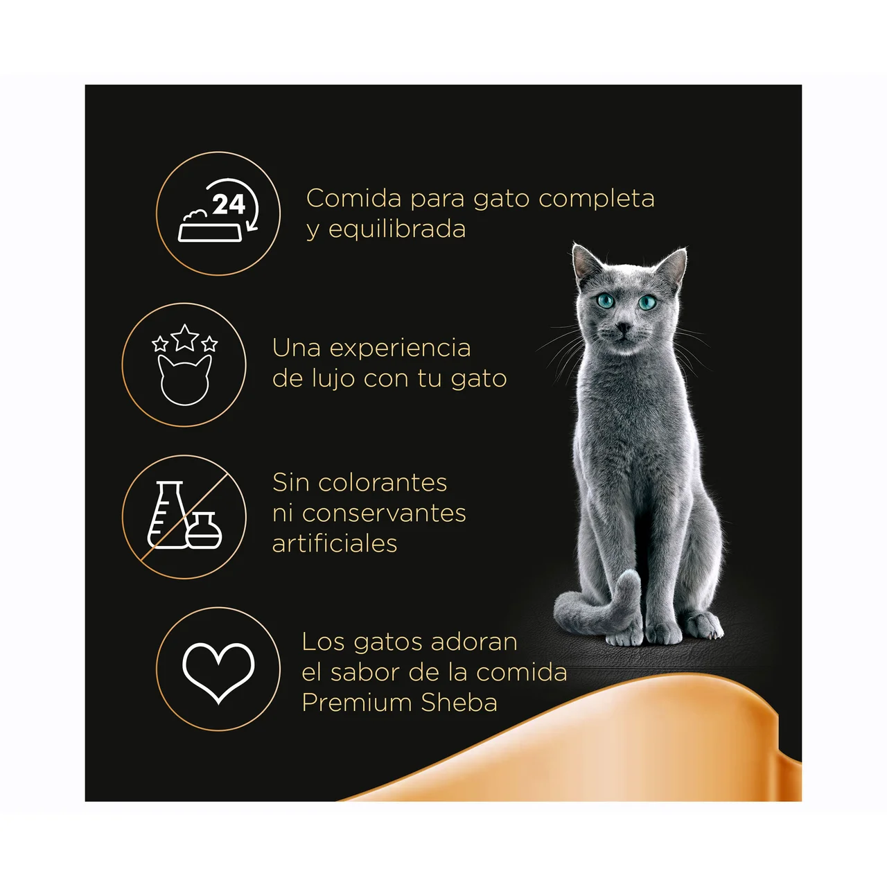 Comida para gatos adultos a base de pollo y pavo 6 uds. 50 g.