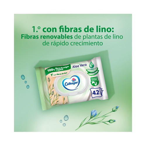 COLHOGAR Papel higiénico húmedo 42 uds.